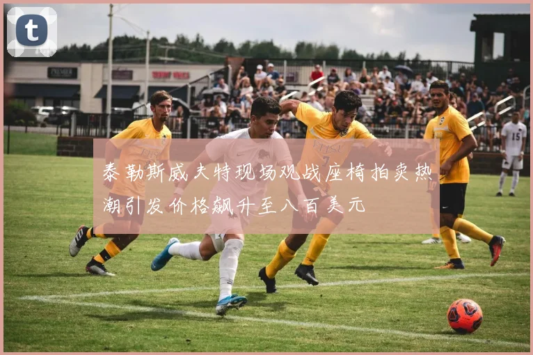 泰勒斯威夫特现场观战座椅拍卖热潮引发价格飙升至八百美元