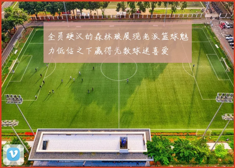 全员硬汉的森林狼展现老派篮球魅力低估之下赢得无数球迷喜爱