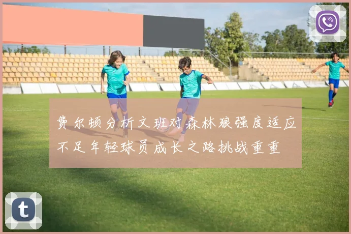 费尔顿分析文班对森林狼强度适应不足年轻球员成长之路挑战重重